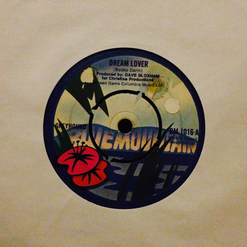 Greyhound Dream lover / Wappadusa Greyhound Dream lover / Wappadusa