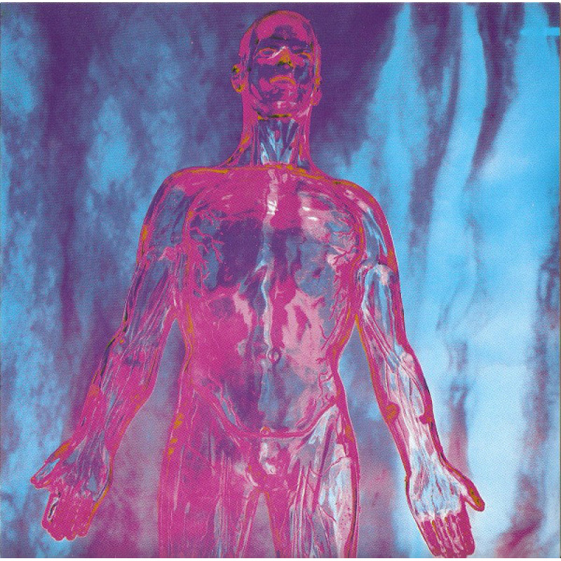 Nirvana - Sliver Nirvana - Sliver