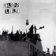Fleas And Lice – Bleeding Rectum